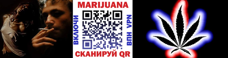 Бошки Шишки ГИДРОПОН  Циолковский 